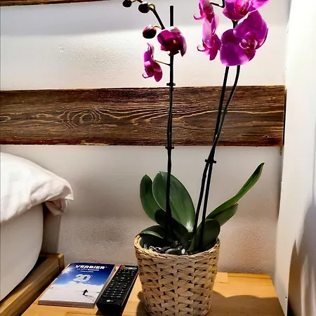 Pilar's Place